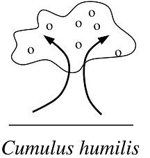 dessin explicatif d'un cumulus humilis