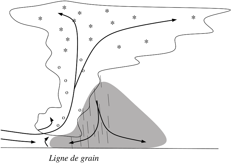 ligne-de-grain-institut-pierre-simon-laplace