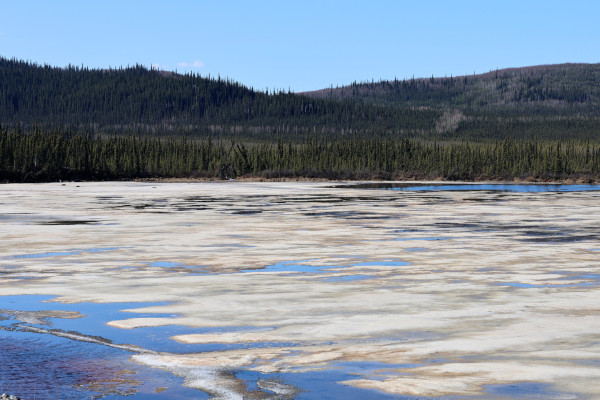 Un lac canadien en dégel, avec la forêt boréale dans le fond