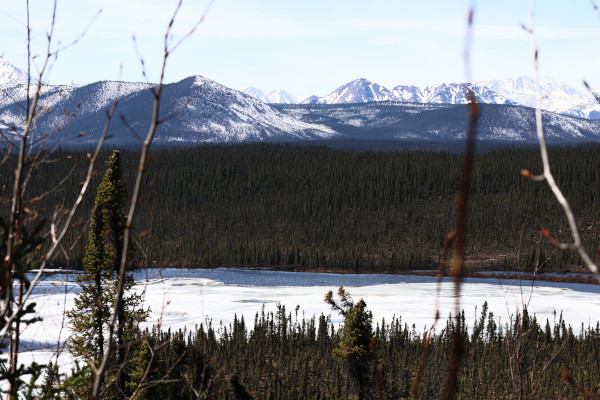 Un lac en dégel au printemps, avec la forêt boréale et les montagnes Rocheuses canadiennes dans le fond
