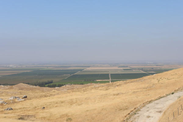 La vallée de San Joaquin en Californie produit à elle seule plus de la moitié du total de l'Etat, ce qui représente une part conséquente du mix national © T.Claveau