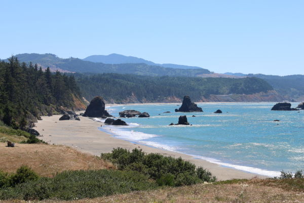 La route 101 longe la côte de l'Oregon le long des falaises, proche de Gold beach, Oregon, le 11 août 2023 © T.Claveau 