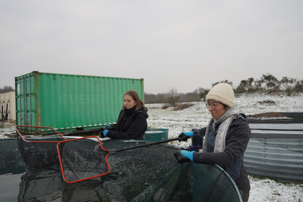 Deux chercheuses autour d'un mésocosme pour capturer des poissons pour une expérimentation