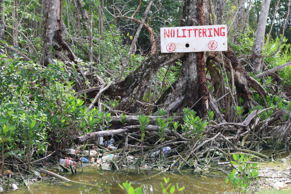 Panneau “Do not Litter”, soit “ne pas jeter ses déchets”, dans les mangroves. © T.Claveau.