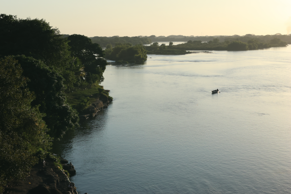 Vue des mangroves du pont de Oro sur la rivière Bajo Lempa
