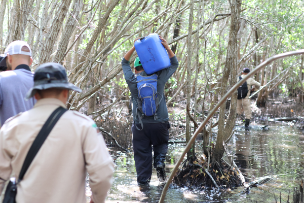 José Maria Argueta et son équipe traversant les mangroves pour rejoindre les ouvriers.