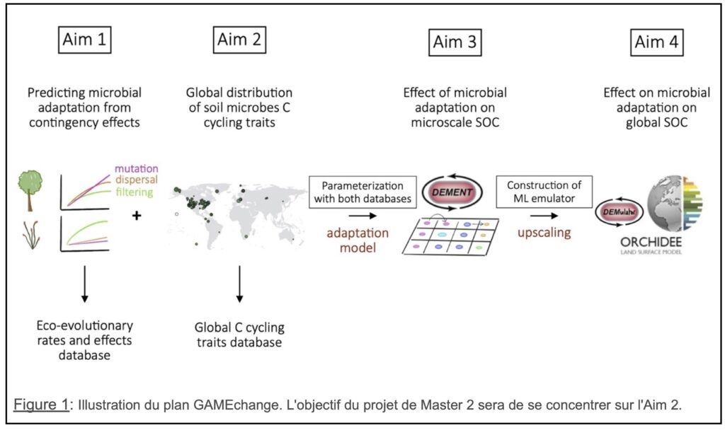 Identifying evolutionary patterns of soil microbes under climate change ...