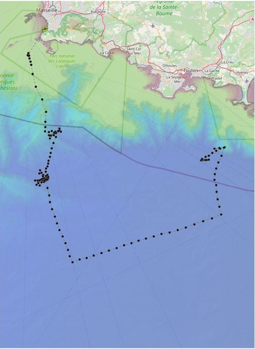 Trajectoire des gliders pendant 11 jours en Méditerranée Nord-Occidentale. D. R.