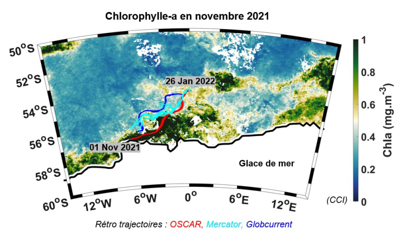 Rétro trajectoires, en utilisant différents produits de courants marins (Oscar, Mercator, Globcurrent), superposées sur une carte de chlorophylle-a en novembre 2021. Ces rétro trajectoires montrent que les eaux se trouvant à la position de la CARIOCA,à 0 °E, 54 °S, le 26 janvier 2022, provenaient du bord de glace, où il y a eu une forte floraison phytoplanctonique, le 1er novembre 2021. © Kirtana Naeck