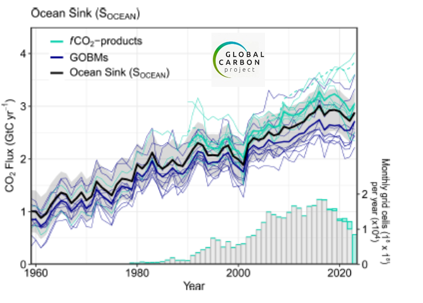Figure 2. Le puits de carbone océanique global évalué sur la période 1959-2024 à partir de modèles océaniques (modèles individuels en violet, moyenne ligne noire et incertitude en grisé) ou de méthodes de reconstructions basées sur la base SOCAT (en cyan). Les histogrammes informent sur le nombre d’observations de CO2 dans la base SOCAT utilisées chaque année pour contraindre les méthodes de reconstructions. Source : Global Carbon Project (Friedlingstein et al., 2025). Une certitude, les modèles comme les méthodes basées sur les observations, montrent que le puits de carbone océanique augmente au cours du temps. Toutefois, on note que les modèles sous-estiment le puits de carbone sur les années récentes. D. R.