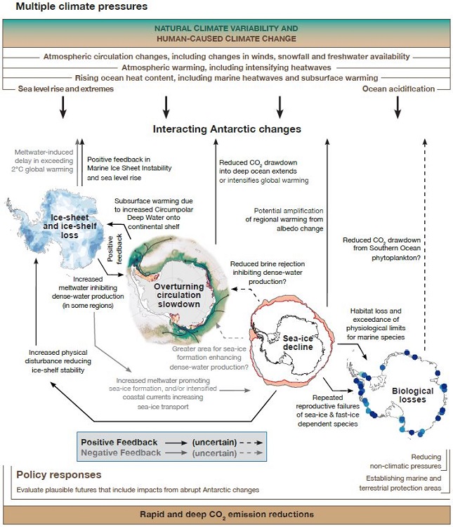 Schéma de l'illustration de l'actu "Accélération des bouleversements en Antarctique : une convergence de signaux alarmants". D. R.