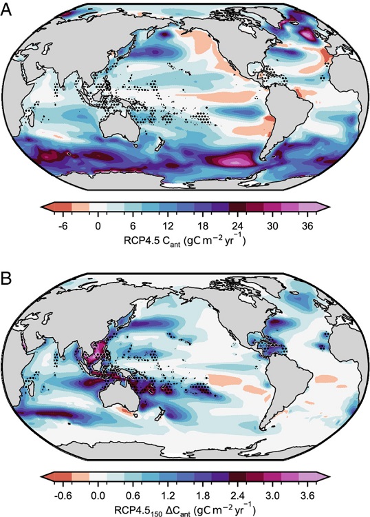 Carbon uptake enhancement extends beyond the regions of coral reefs. The (A), mean ocean anthropogenic carbon uptake in 2081 to 2099 of RCP4.5 and the (B), coral reef-driven anomaly in ocean anthropogenic carbon uptake in 2081 to 2099 of RCP4.5Stippling indicates the distribution of coral reefs. D. R.