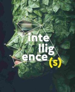 Visuel Fête de la Science 2025 - Sorbonne Université