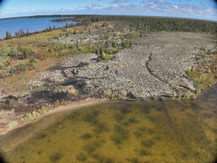Dégel actif du pergélisol (tourbière gelée) le long de polygones sur le bord d’un lac. A noter la nouvelle zone humide (sombre) s’est formé en 1 an suite au dégel du pergélisol. Photo drone. © Antoine Séjourné