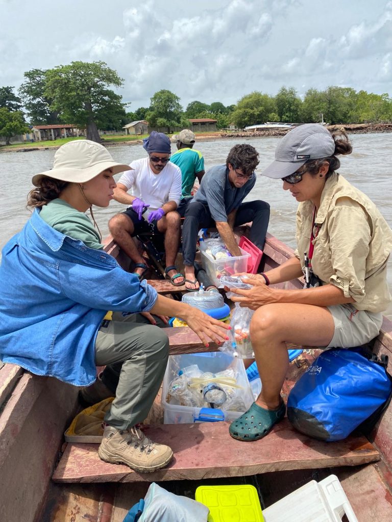 Illustration de l'actu "DOICOM" sur les mangroves. D. R.