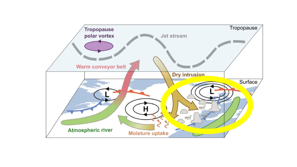 Figure 1 : Schéma illustrant les phénomènes météorologiques étudiés pendant NAWDIC. Les phénomènes étudiés par la composante française de la campagne sont entourés en jaune.