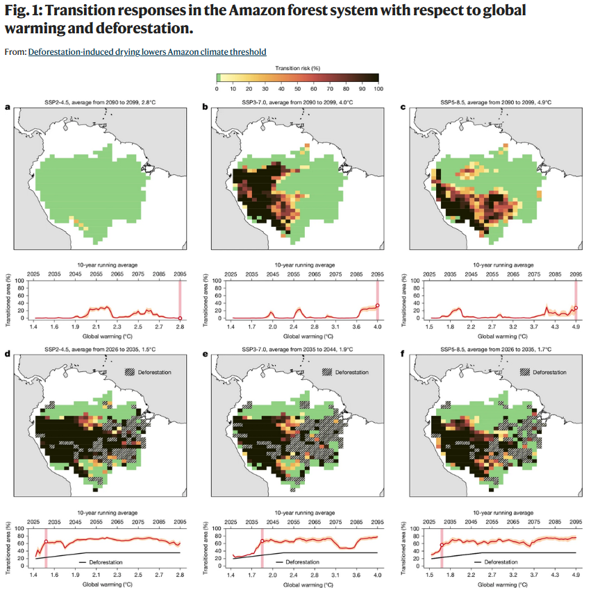Figure 1 : Réponses de transition du système forestier amazonien face au réchauffement climatique et à la déforestation.