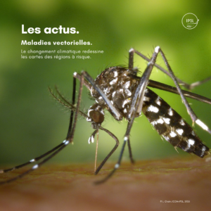 actu_image