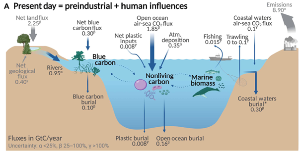 Flux de carbone entrant ou quittant l’océan, milliards de tonnes de carbone par an - estimations pour la période récente (conditions préindustrielles + influences humaines). Les estimations des incertitudes sont indiquées par des symboles. D. R.