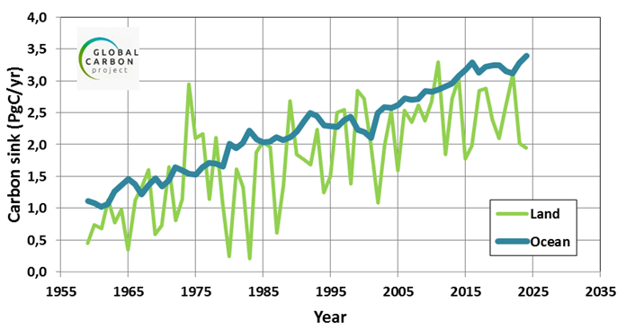 Figure 2. Les puits de carbone continental (en vert) et océanique (en bleu) évalués sur la période 1959-2025 (en PgC/an). Figure construite à partir des données du Global Carbon Project (Friedlingstein et al., 2026). Une certitude, le puits de carbone océanique augmente au cours du temps. Depuis 2015 il est en moyenne plus intense que le puits continental, et nettement plus fort en 2024, un signal qu’il faudra confirmer l’an prochain. D. R.