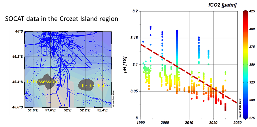 Figure 3. Exemple d’évolution du pH dans l’océan de surface au cours du temps. Résultats obtenus à partir des données SOCAT sélectionnées dans l’océan Indien Sud autour des Iles Crozet (données des campagnes historiques et OISO depuis 1998). Le code couleur représente le fCO2 océanique. La diminution de pH, de l’ordre de -0.028 par décennie sur la période 1991-2025 en été austral (trait rouge), témoigne de l’acidification des océans due à l’augmentation de CO2 anthropique. Le pH le plus faible de 8.01 a été détecté durant la campagne OISO-35 en janvier 2025. D. R.