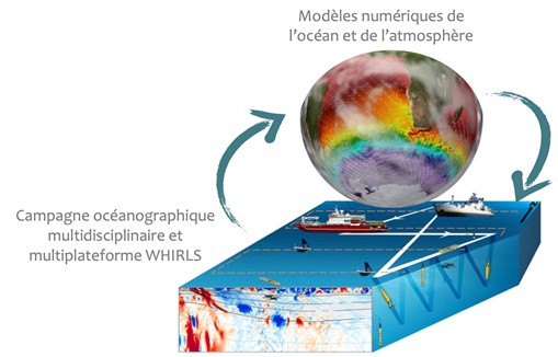Le concept d’observation et de modélisation de WHIRLS. Une campagne océanographique multidisciplinaire et multiplateforme (deux navires de recherche, flotteurs, gliders, dériveurs et drones, échantillonnant l’océan et la basse atmosphère) est combinée à des modèles numériques couplés de l’océan et de l’atmosphère. Ensemble, ils permettent à WHIRLS d’observer simultanément la physique, la chimie et le vivant à très haute résolution. D. R.