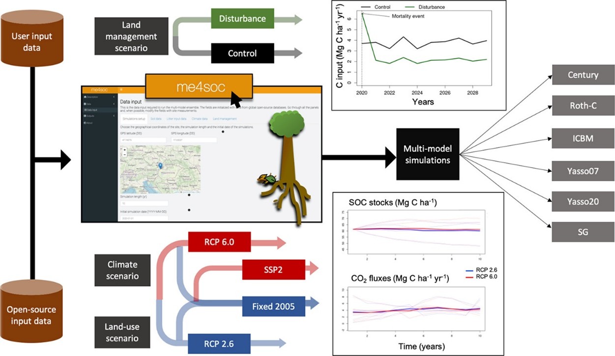 Schéma de l'environnement de l'application web me4soc comprenant : les données d'entrée, les scénarios d'entrée, les données traitées et les données de sortie. Les sources de données d'entrée proviennent soit des utilisateurs, soit de bases de données open source. Les scénarios d'entrée incluent la gestion des terres (« Disturbance » désignant les perturbations naturelles et la gestion forestière, et « Control » correspondant au scénario de statu quo), les scénarios climatiques sont basés sur les trajectoires RCP 2.6 et RCP 6.0 du GIEC, et l'occupation des sols est soit fixée à l'année 2005, soit variable selon la trajectoire SSP2. Les données sont traitées à des fins de visualisation et pour lancer l'ensemble multi-modèles comprenant les modèles Century, Roth-C, ICBM, Yasso07, Yasso20 et SG. D. R.