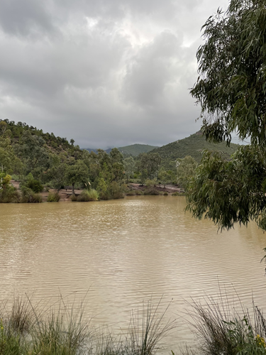 Lac chargé en sédiments dans l'Estérel. © Olivier Evrard